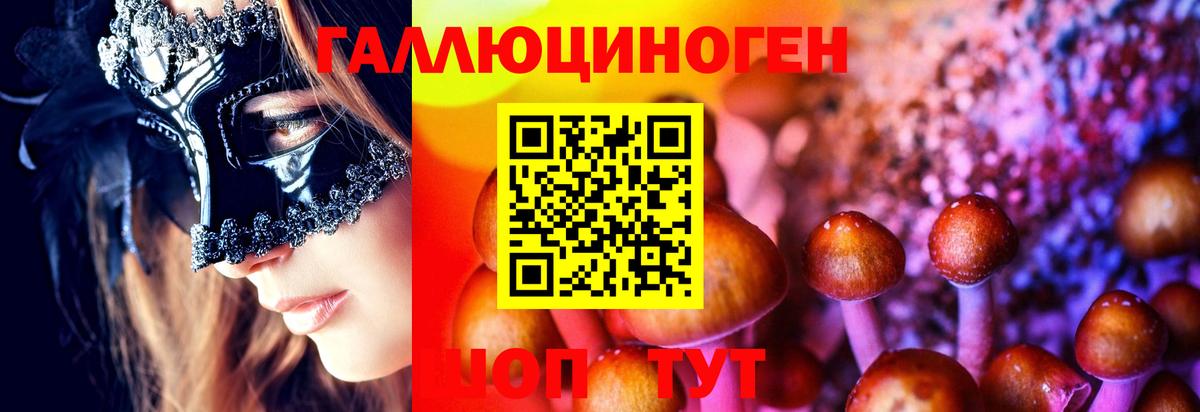 Галлюциногенные грибы Psilocybe  Галлюциногенные грибы прущие грибы  Сорочинск  Вход с VPN 